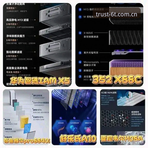 6t体育苹果下载哪个好 2024最新版选择指南